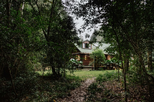 The Wooden Forest House nestled in our Indigenous Forest is secluded and peaceful  