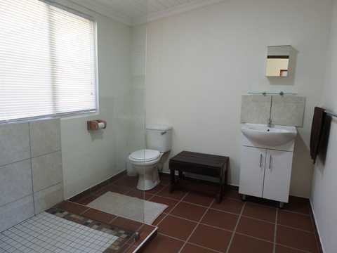 Spacious bathroom with large shower, basin and toilet at The Bush Buck Cottage